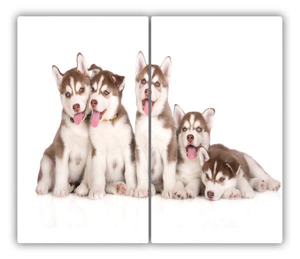 Tocator din sticla catelus husky