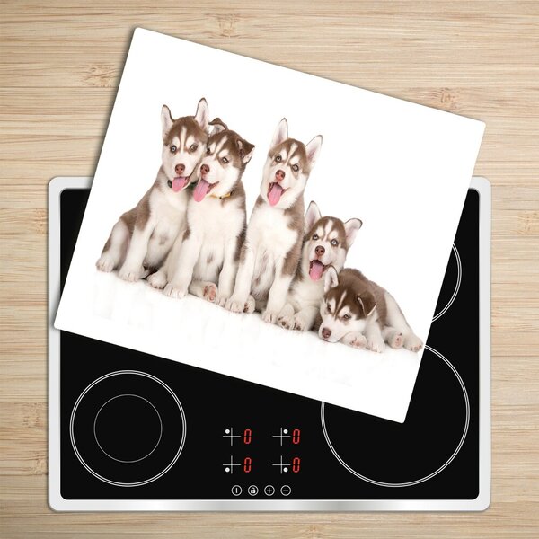 Tocator din sticla catelus husky
