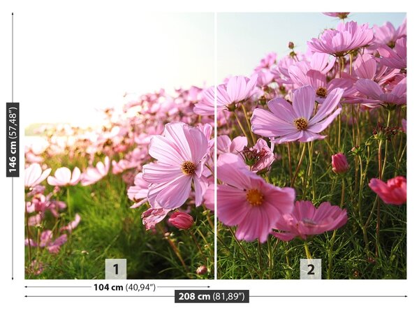 Fototapet Cosmos Flower