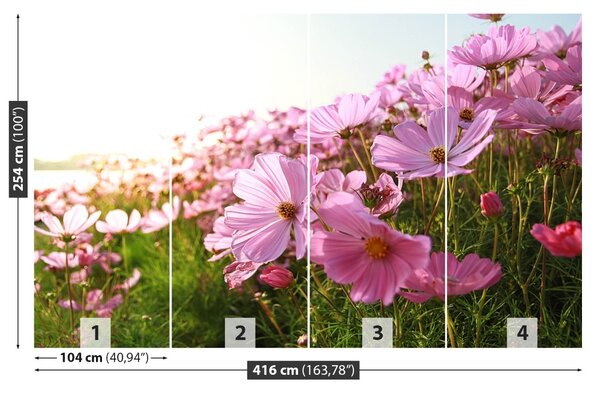 Fototapet Cosmos Flower