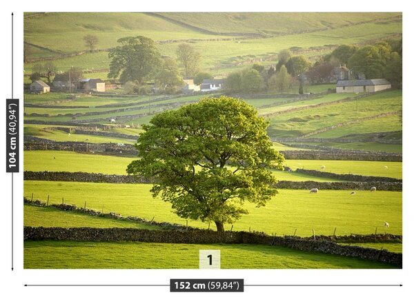 Fototapet Anglia Derbyshire