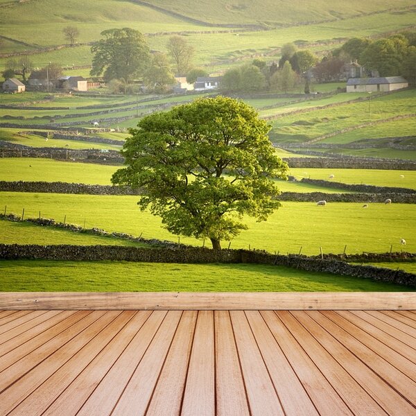 Fototapet Anglia Derbyshire