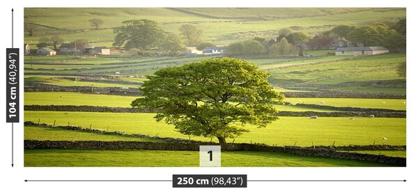 Fototapet Anglia Derbyshire