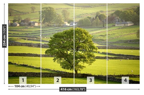 Fototapet Anglia Derbyshire