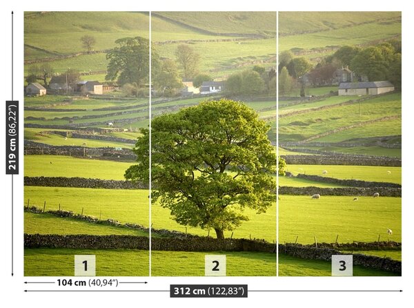 Fototapet Anglia Derbyshire