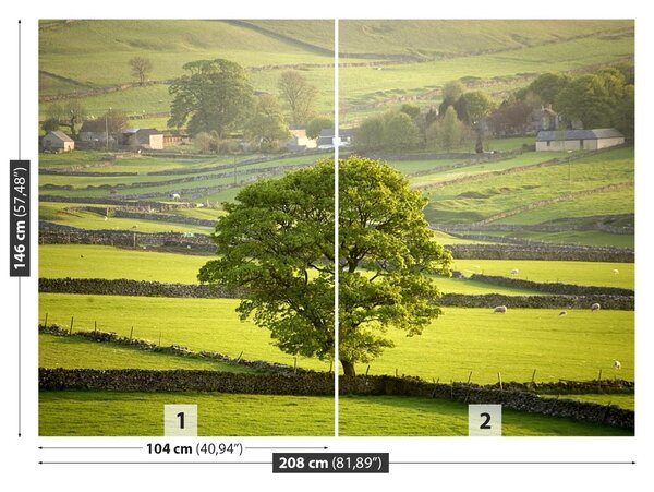 Fototapet Anglia Derbyshire