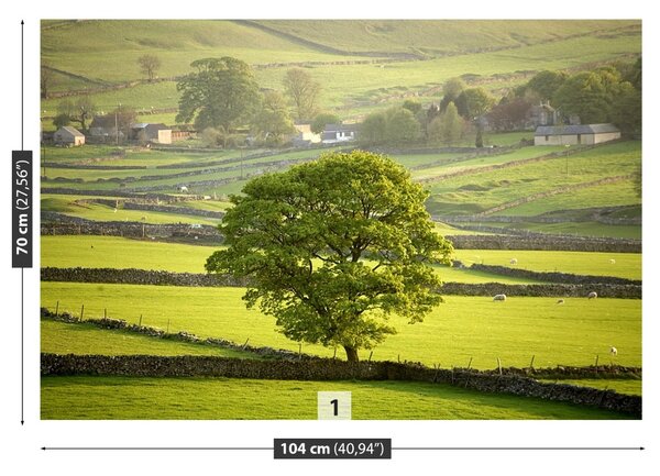 Fototapet Anglia Derbyshire