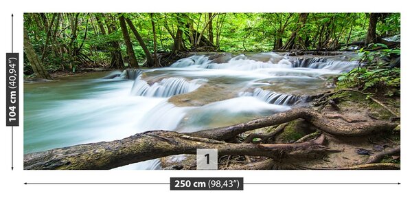 Fototapet Cascada în pădure