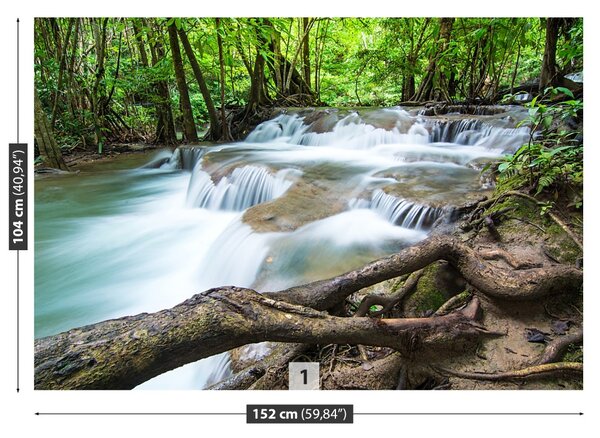 Fototapet Cascada în pădure