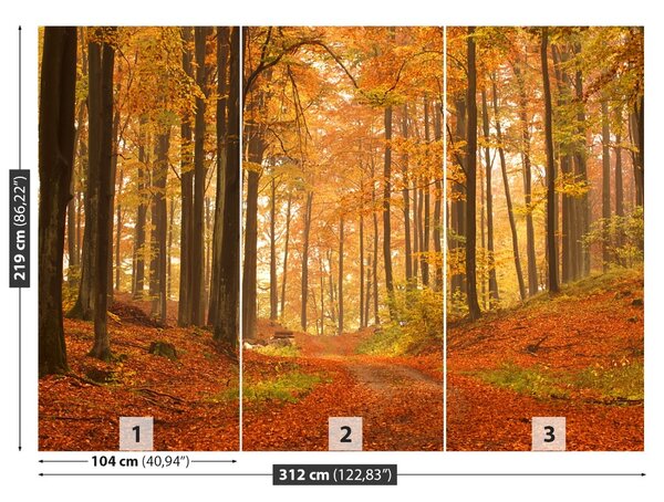 Fototapet Pădure toamna