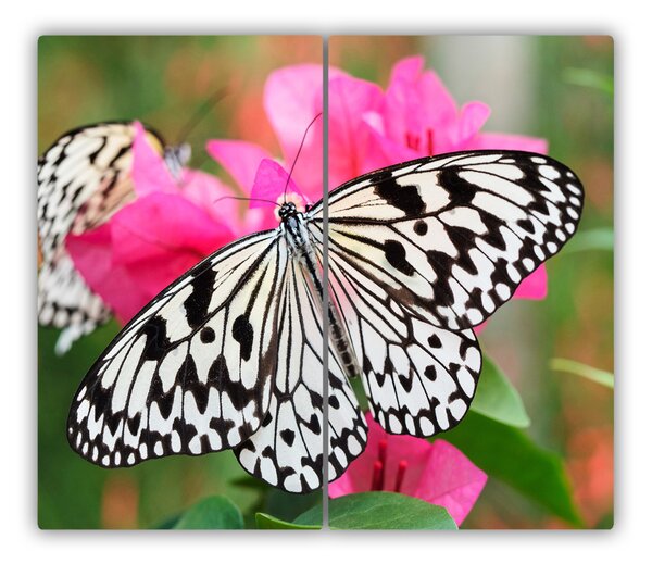 Tocator din sticla floare fluture