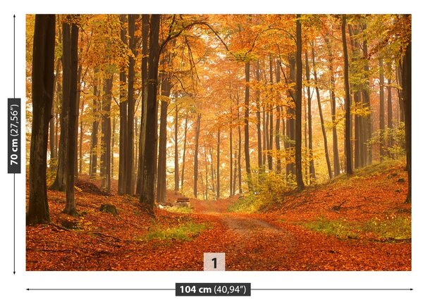 Fototapet Pădure toamna