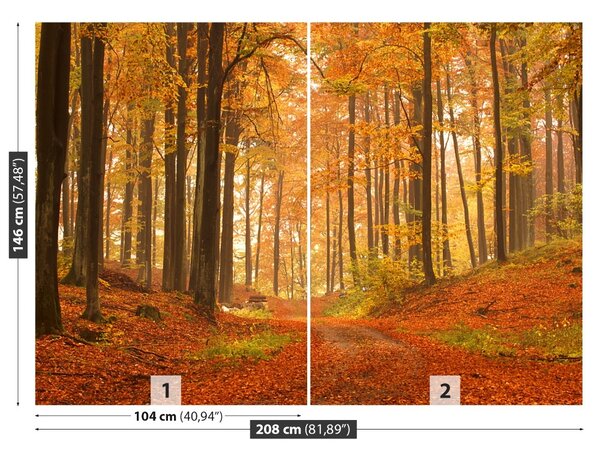 Fototapet Pădure toamna