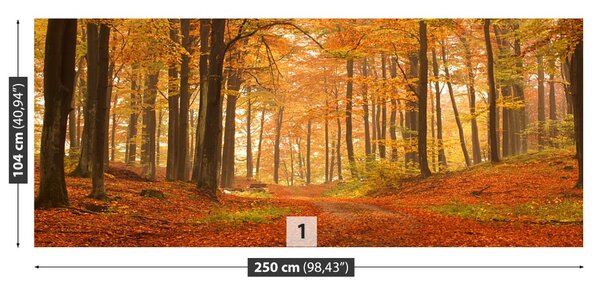 Fototapet Pădure toamna