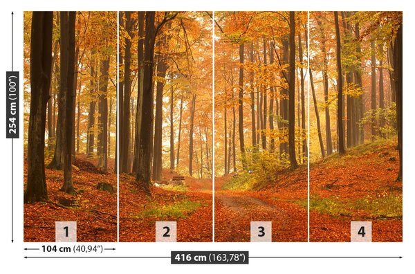 Fototapet Pădure toamna