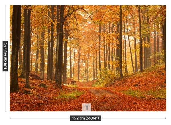 Fototapet Pădure toamna