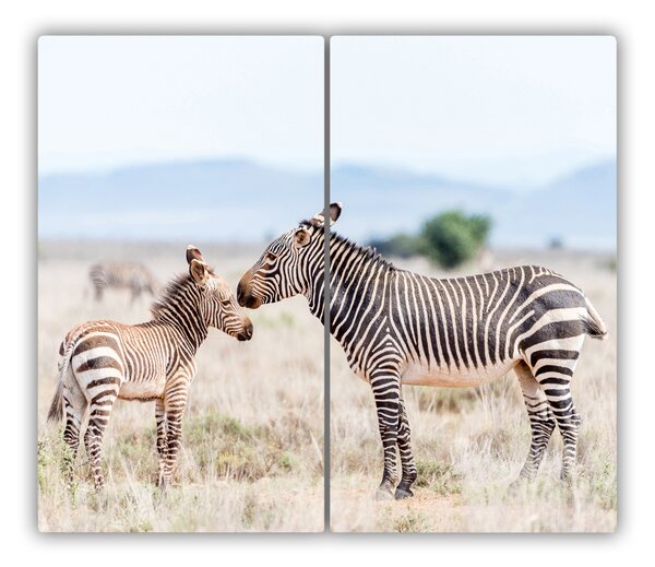Tocator din sticla munții Zebra