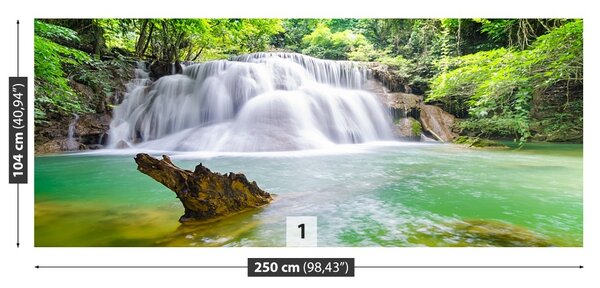Fototapet Cascada în pădure