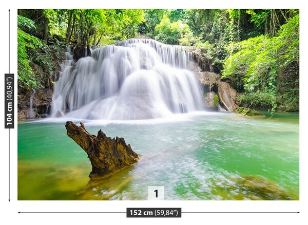 Fototapet Cascada în pădure