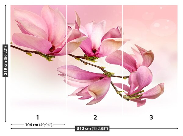 Fototapet Magnolie