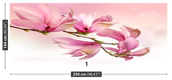 Fototapet Magnolie