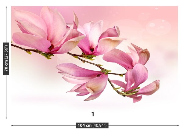Fototapet Magnolie