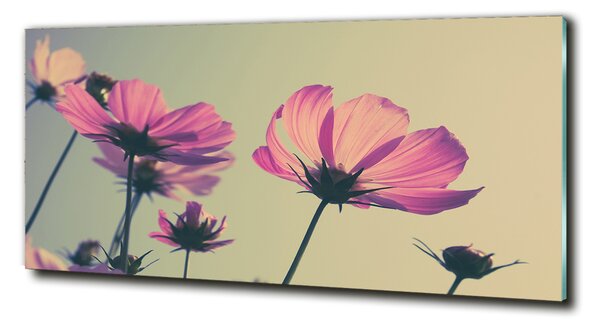 Fotografie imprimată pe sticlă flori roz