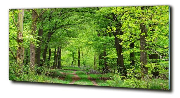 Tablou Printat Pe Sticlă pădure de primăvară