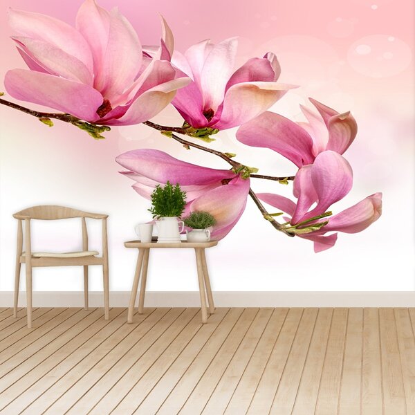 Fototapet Magnolie