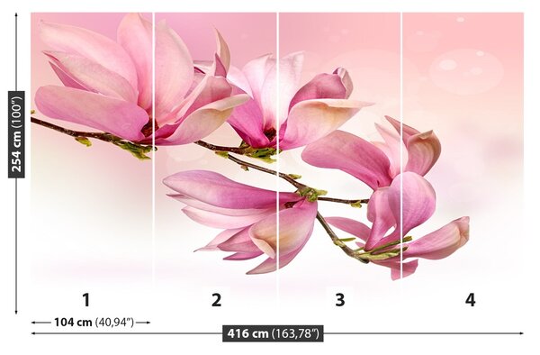 Fototapet Magnolie