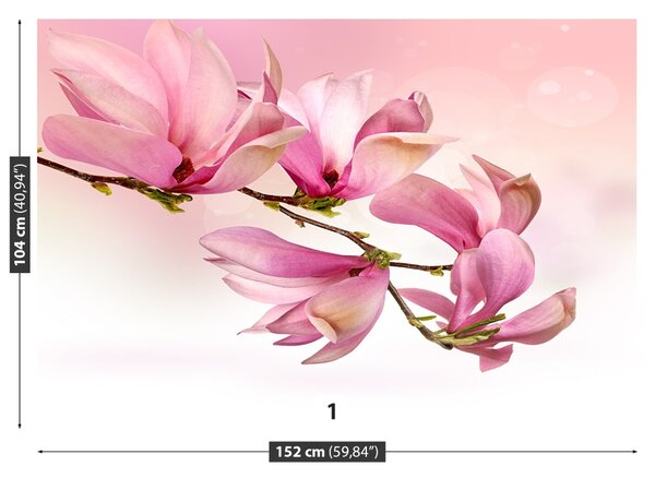 Fototapet Magnolie