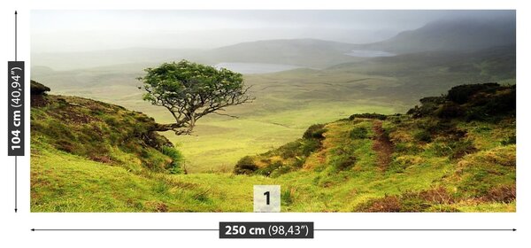 Fototapet Isle Of Skye Scoția