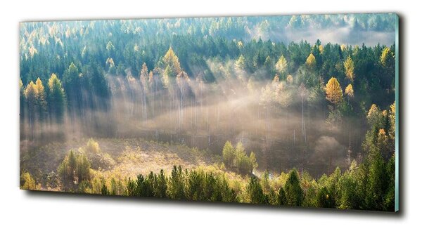 Tablou Printat Pe Sticlă Ceață în pădure
