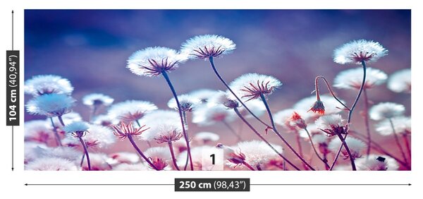 Fototapet Flori Meadow