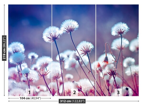 Fototapet Flori Meadow