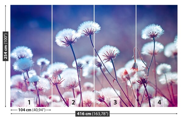 Fototapet Flori Meadow