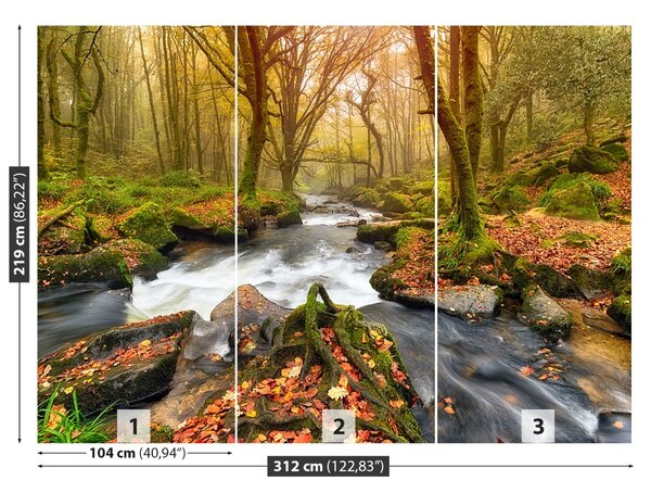 Fototapet River Forest