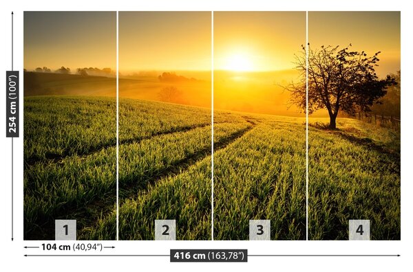 Fototapet Hill copac