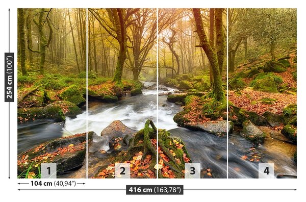 Fototapet River Forest
