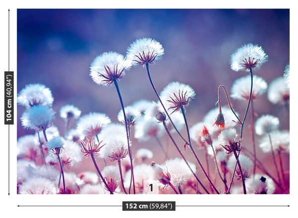 Fototapet Flori Meadow
