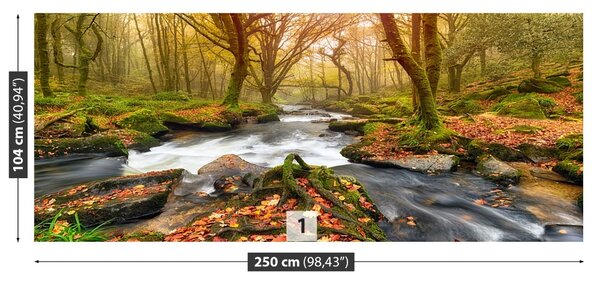 Fototapet River Forest