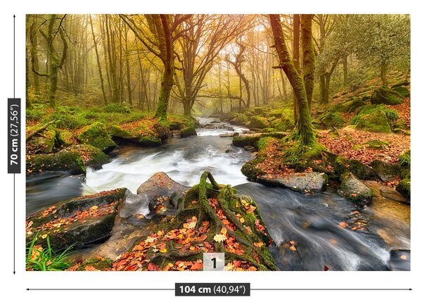 Fototapet River Forest