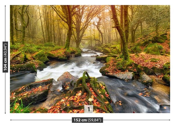 Fototapet River Forest