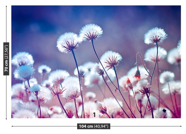 Fototapet Flori Meadow