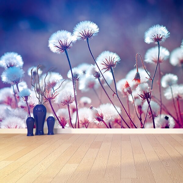 Fototapet Flori Meadow