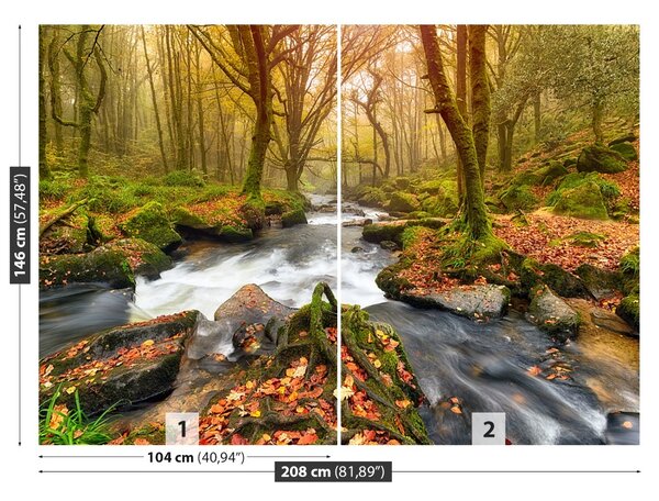 Fototapet River Forest