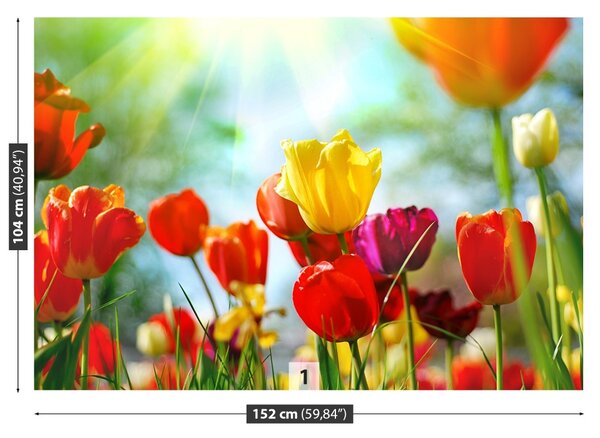 Fototapet Flori de lalele