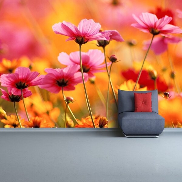 Fototapet Cosmos Garden
