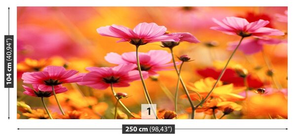 Fototapet Cosmos Garden