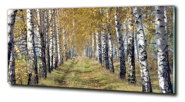 Tablou Printat Pe Sticlă mesteceni în toamna